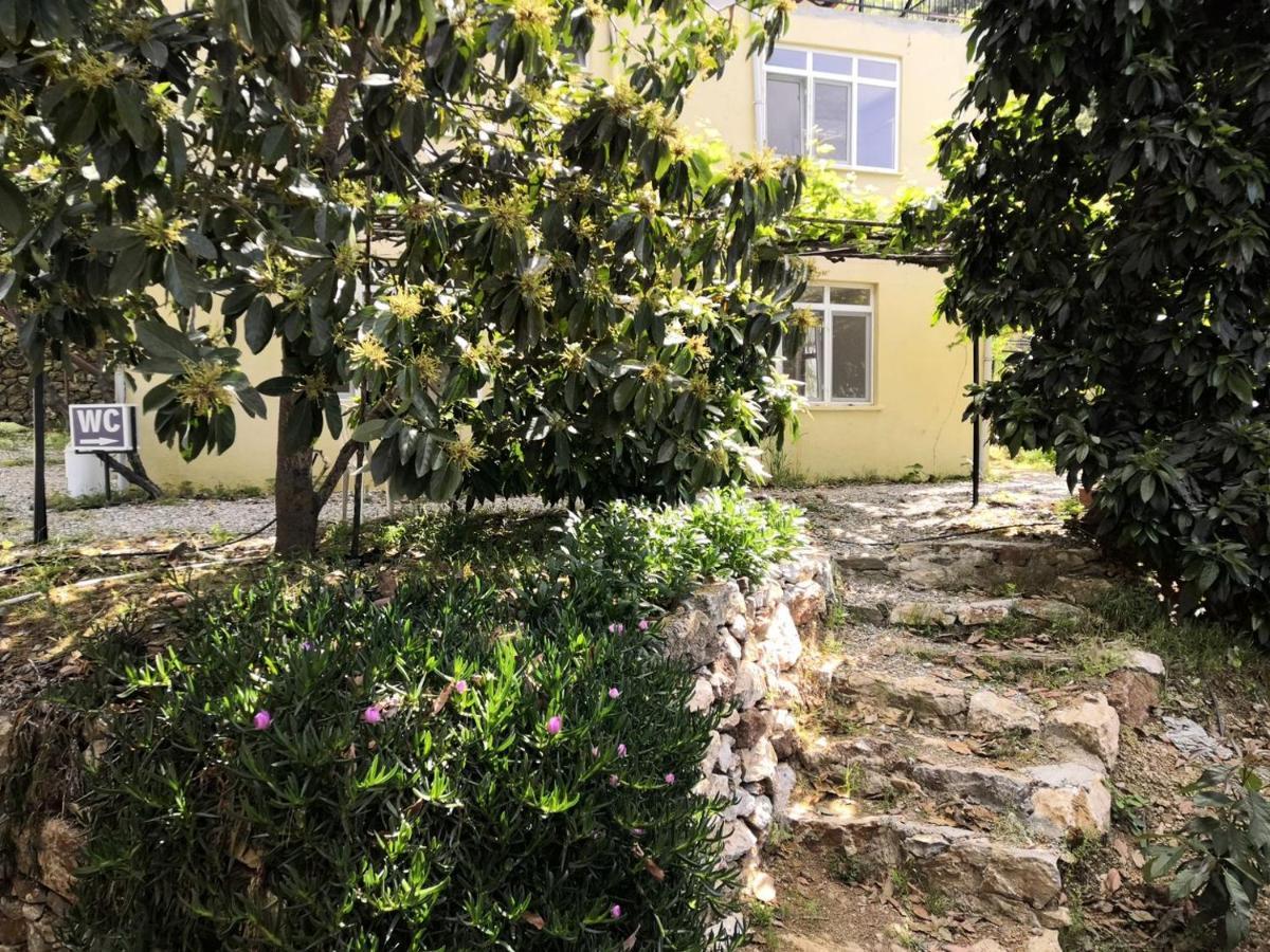 Zeytinada Pansiyon Ve Goezleme Guneykoy Exteriér fotografie