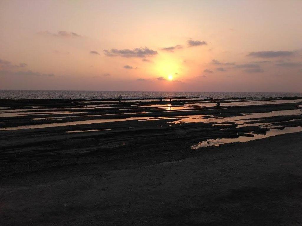 Zeytinada Pansiyon Ve Goezleme Guneykoy Exteriér fotografie