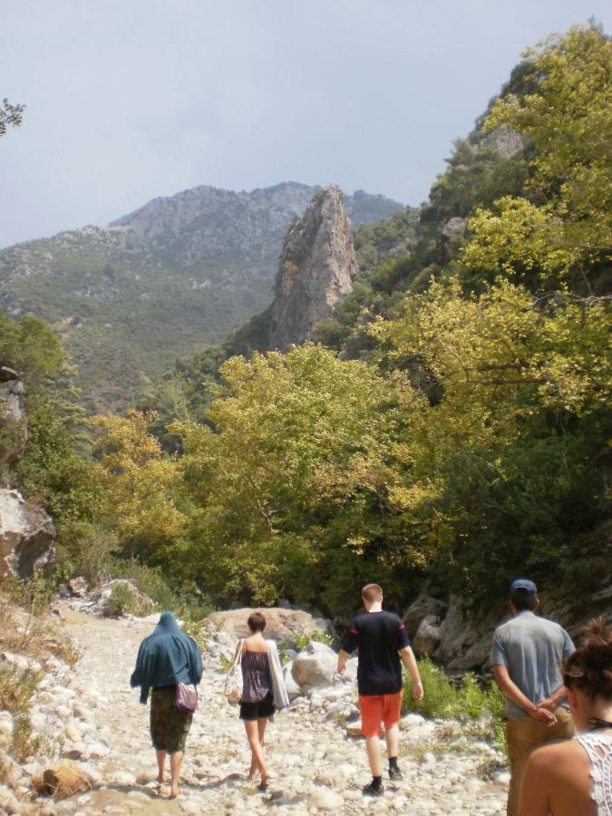Zeytinada Pansiyon Ve Goezleme Guneykoy Exteriér fotografie