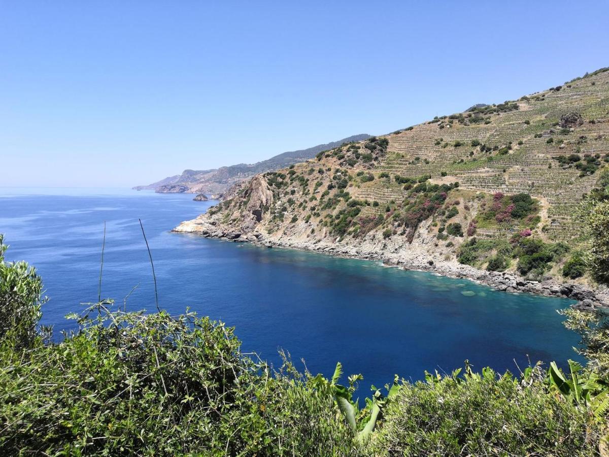 Zeytinada Pansiyon Ve Goezleme Guneykoy Exteriér fotografie